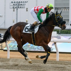 2024-02-02川崎競馬場