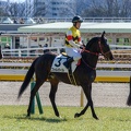 東京5R フォルガイル 返し馬