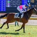 東京5R パルファンソオン 返し馬