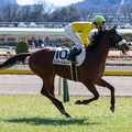 東京5R ミスティカルレイ 返し馬