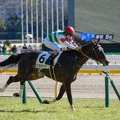 東京5R  バロネッサ