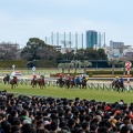 東京9R 初音ステークス 残り200m