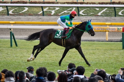 東京11R フォスターボンド 返し馬
