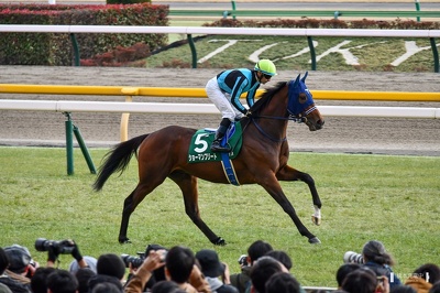 東京11R ショーマンフリート 返し馬