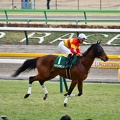 東京11R ベラジオボンド 返し馬