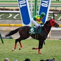 東京11R エコロヴァルツ 返し馬