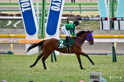 東京11R ディマイザキッド 返し馬