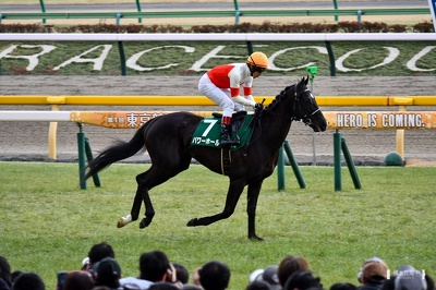 東京11R パワーホール 返し馬