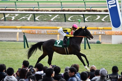 東京11R ジャンタルマンタル 返し馬