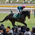 東京11R エンヤラヴフェイス 返し馬