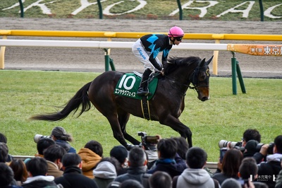 東京11R エンヤラヴフェイス 返し馬