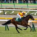 東京11R  ジャスティンミラノ