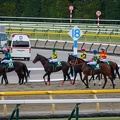 東京11R 共同通信杯 レース後