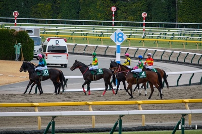 東京11R 共同通信杯 レース後