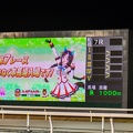 船橋7R 本馬場入場前 モニター