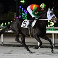 船橋7R サルフトピッチ 返し馬