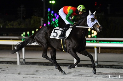船橋7R サルフトピッチ 返し馬
