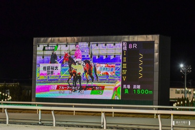 船橋8R ブルーアーカイブ パドック映像