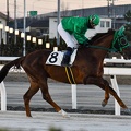 船橋5R ゴールドベレー 返し馬