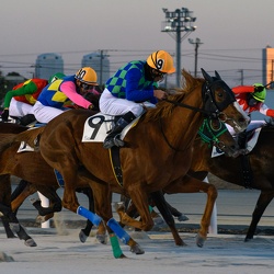 2024-01-16船橋競馬場