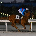 船橋6R ワールドエンパイア 返し馬