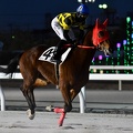 船橋6R ワールドエンパイア 返し馬