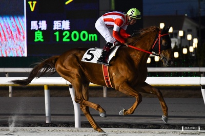 船橋6R ケンタッキースカイ 返し馬