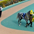 東京10R マイネルモーントとボーンジーニアス