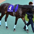 東京11R ドゥラエレーデ パドック