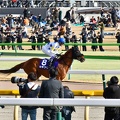東京11R セキフウ 返し馬